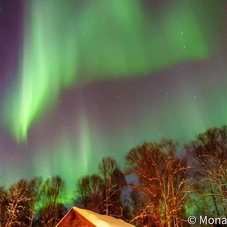 Susitna River Lodging, Suites Talkeetna Exteriér fotografie
