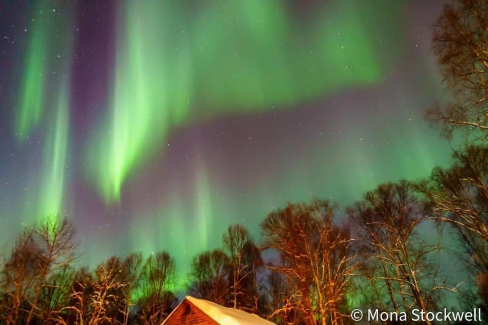 Susitna River Lodging, Suites Talkeetna Exteriér fotografie